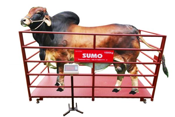 Sumo Animal Scale 2000kg