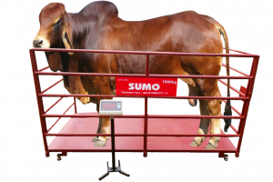 Sumo Animal Scale 1000kg