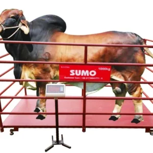 Animal Scale | Capacity 500kg - Image 1
